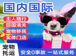 洛阳北郊机场空运国际宠物托运 【国